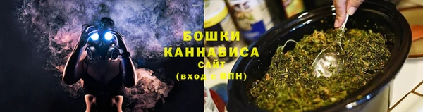 apvp Рославль