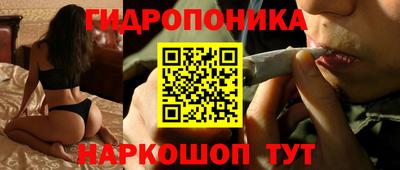 крисы Кунгур