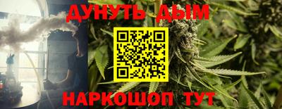 крисы Кунгур