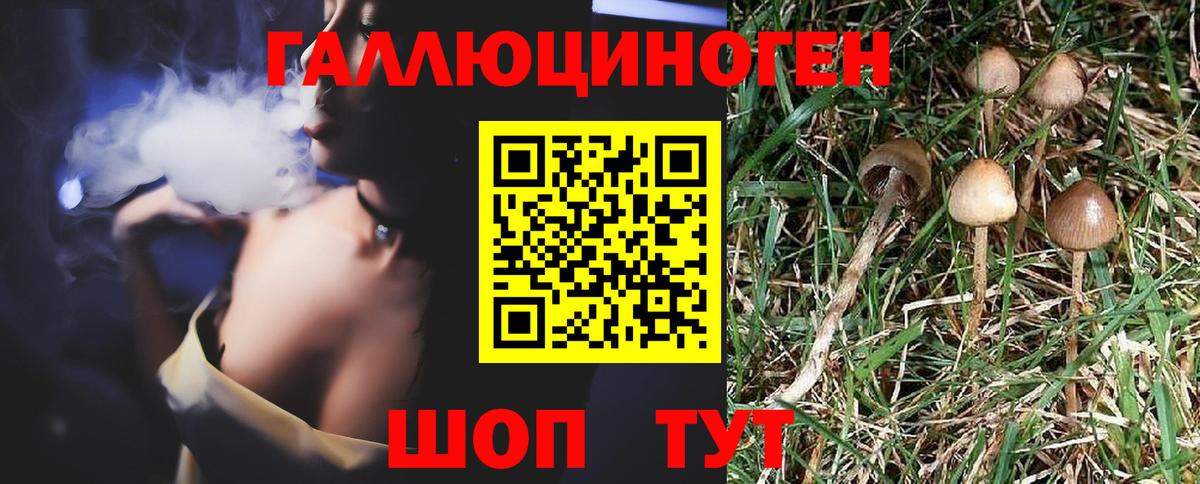 Галлюциногенные грибы мухоморы Елизово