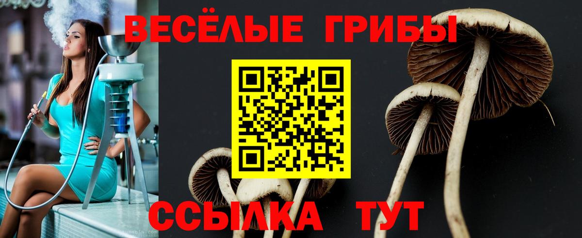Елизово  Галлюциногенные грибы Magic Shrooms  Вход с VPN 