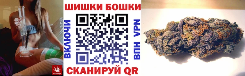 купить  сайты  Елизово  Бошки марихуана планчик 