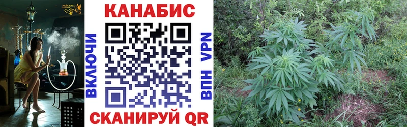 МАРИХУАНА тримм Елизово
